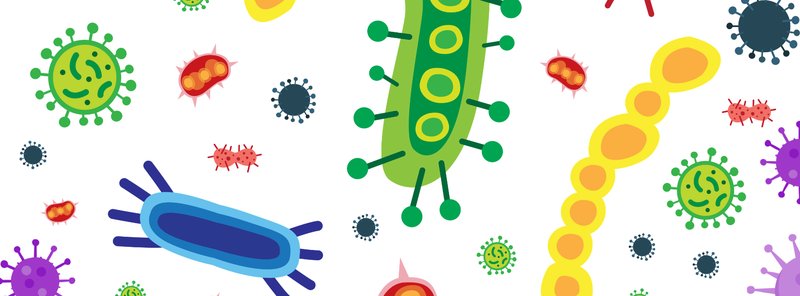 Probiotykoterapia u noworodków i dzieci – jakie szczepy bakterii są najważniejsze?